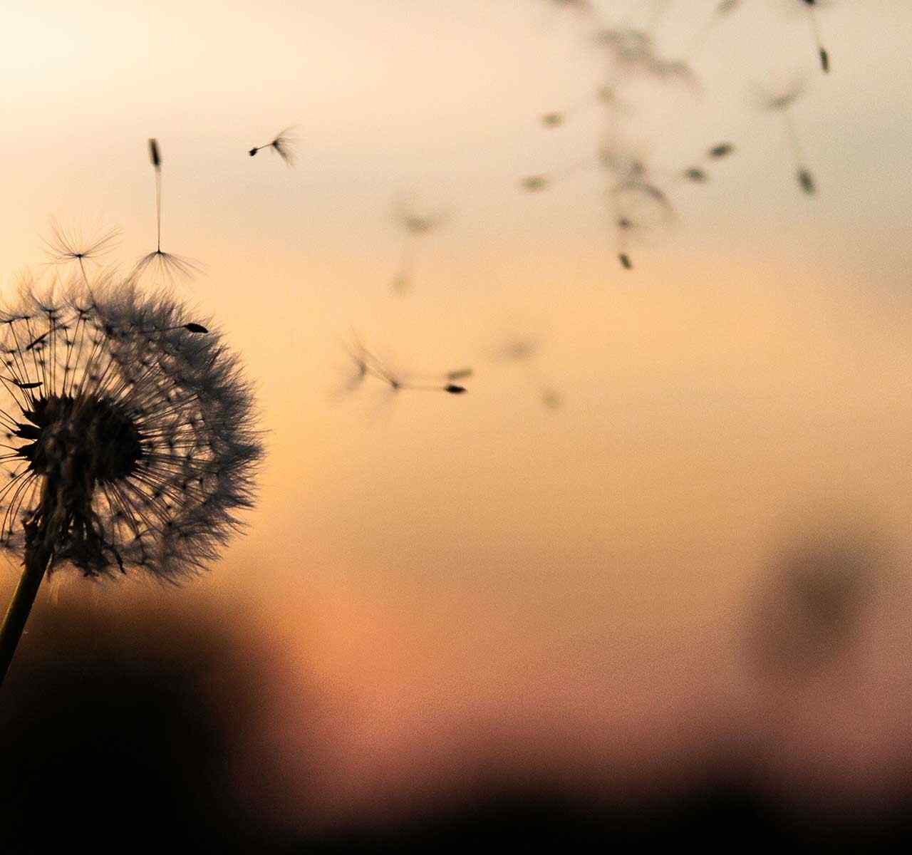 https://test.cabinet-franklass.net/wp-content/uploads/2018/09/post_02-1280x1200.jpg