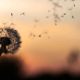 https://test.cabinet-franklass.net/wp-content/uploads/2018/09/post_02-320x320.jpg