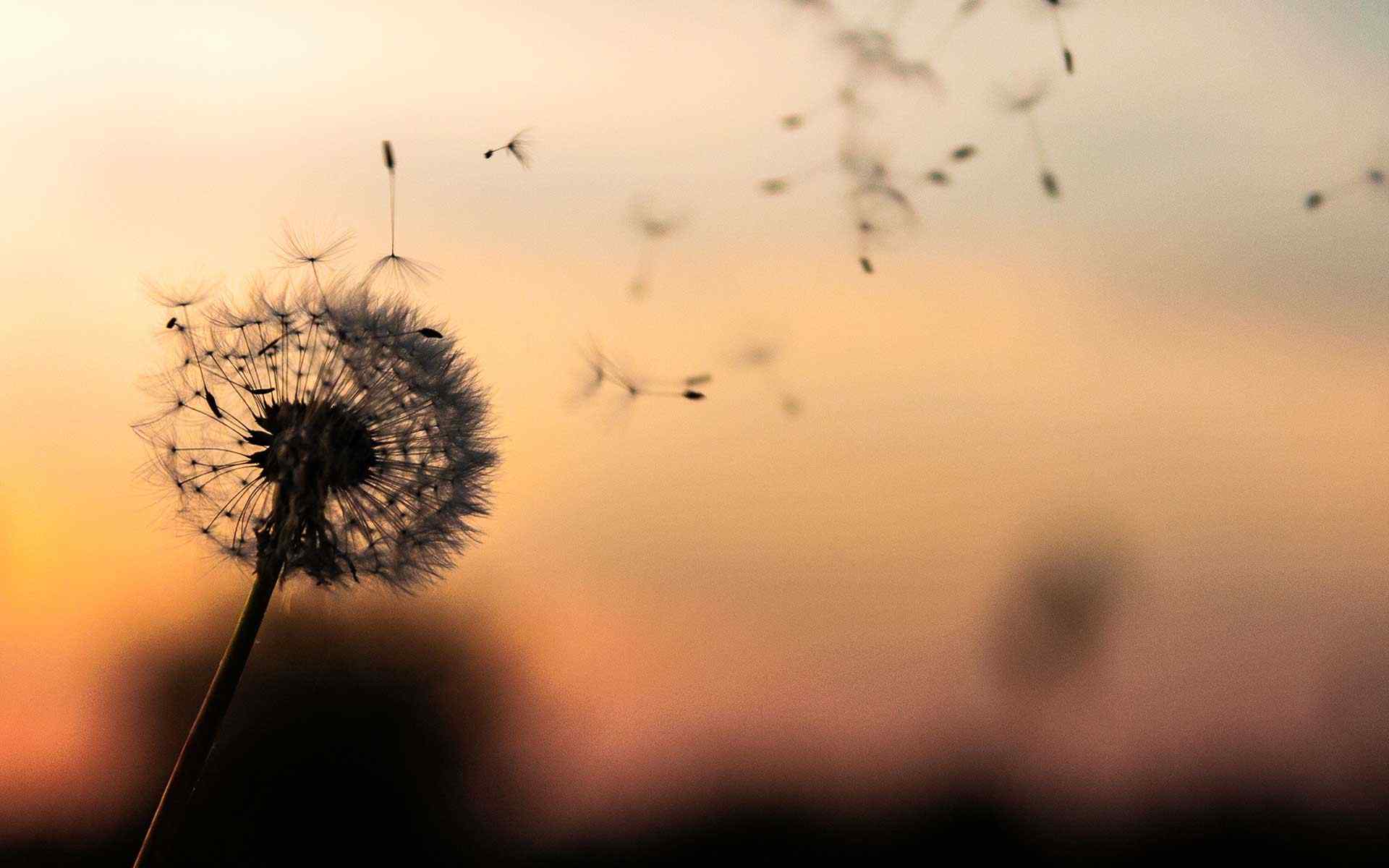 https://test.cabinet-franklass.net/wp-content/uploads/2018/09/post_02.jpg
